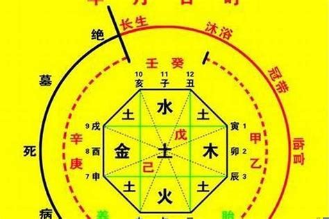 八字喜五行|八字喜用神在线查询器,五行喜什么查询免费